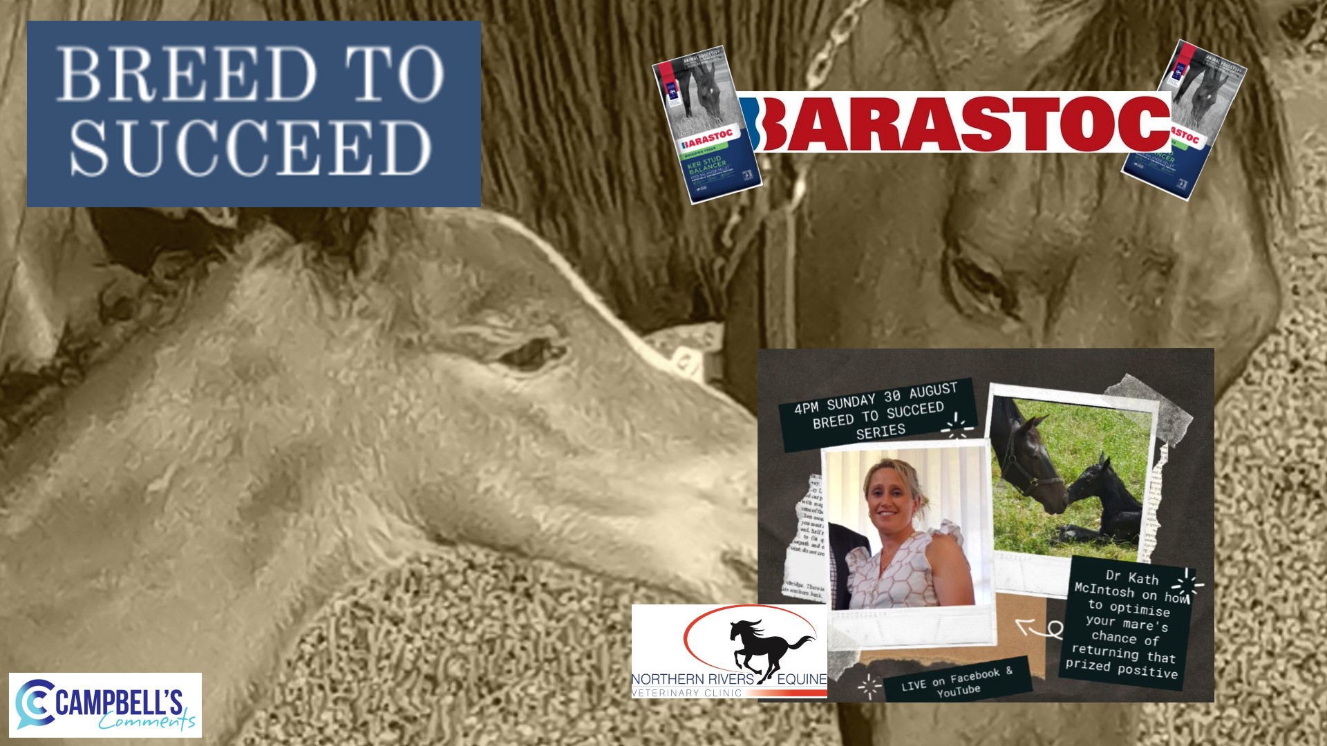 Read more about the article 49: Breed To Succeed Ep.10