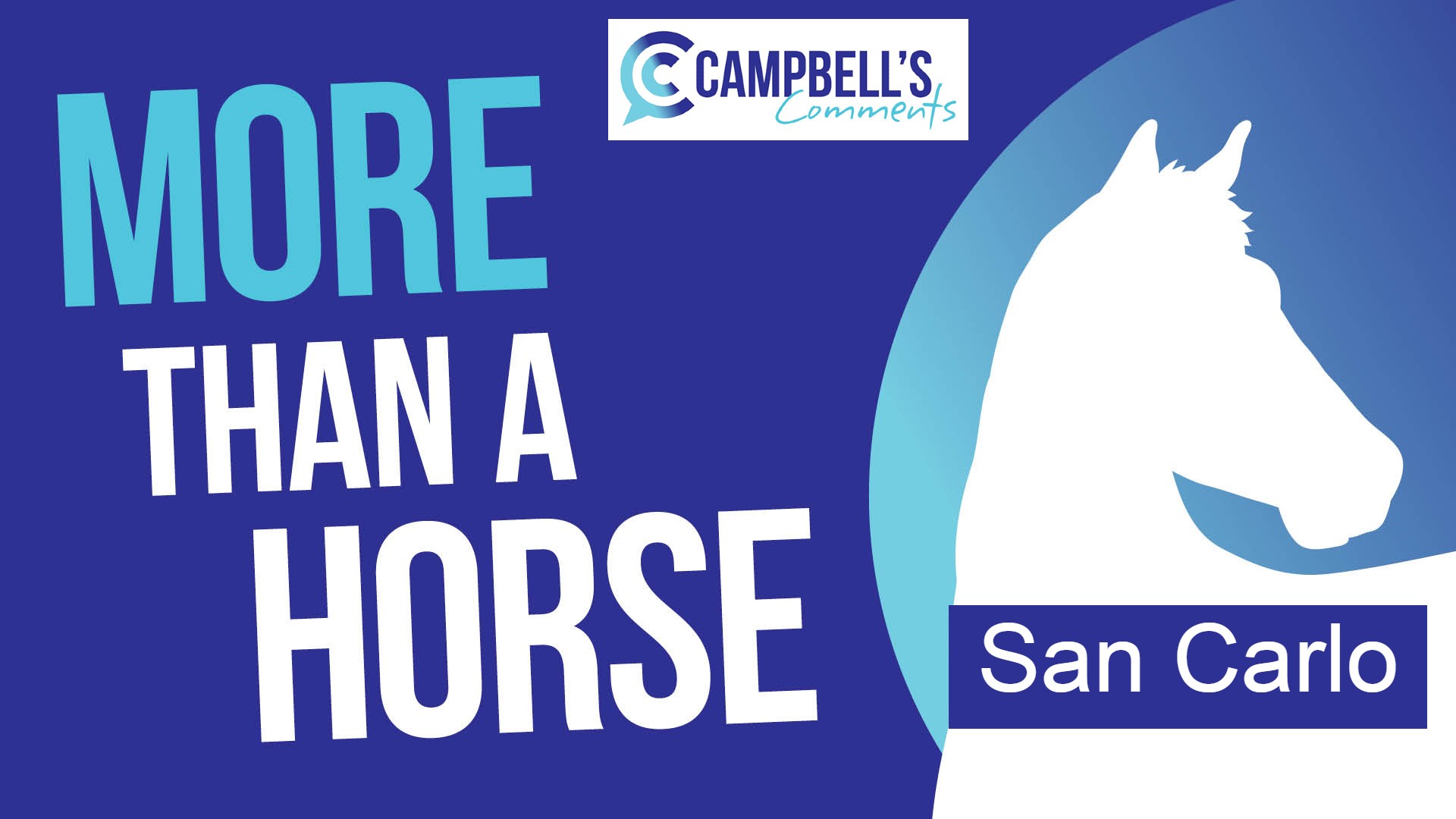 Read more about the article 45: More Than A Horse – San Carlo