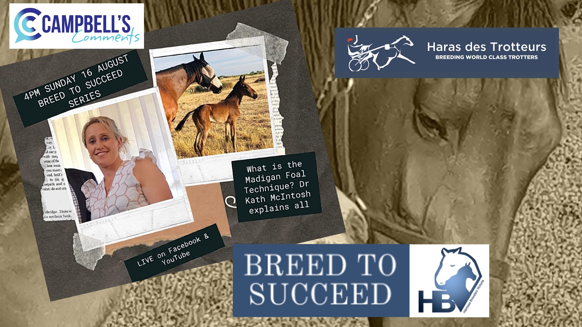 You are currently viewing 46: Breed To Succeed Ep.8