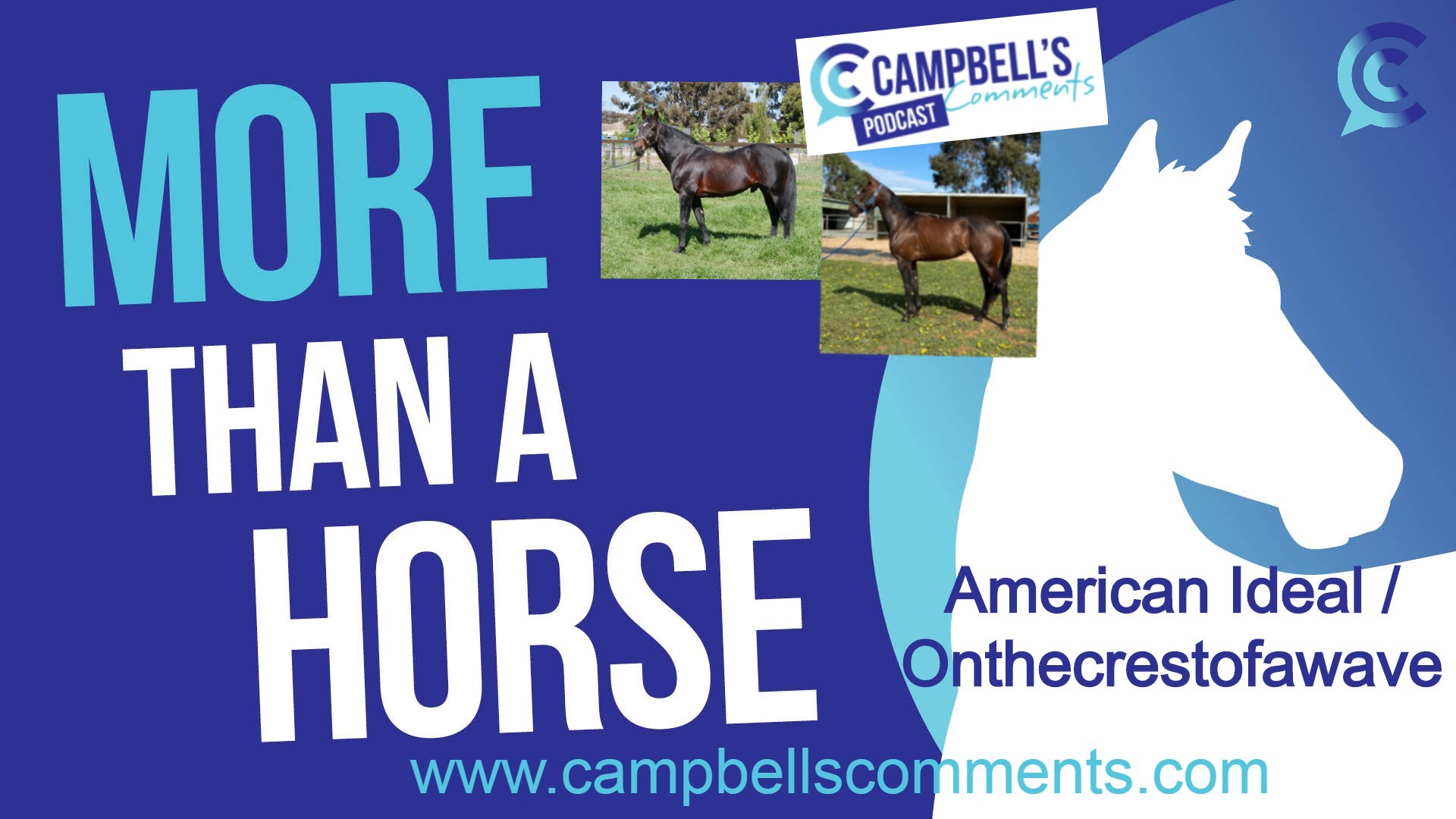 You are currently viewing 56: More Than A Horse – Onthecrestofawave/American Ideal with Kath Macintosh