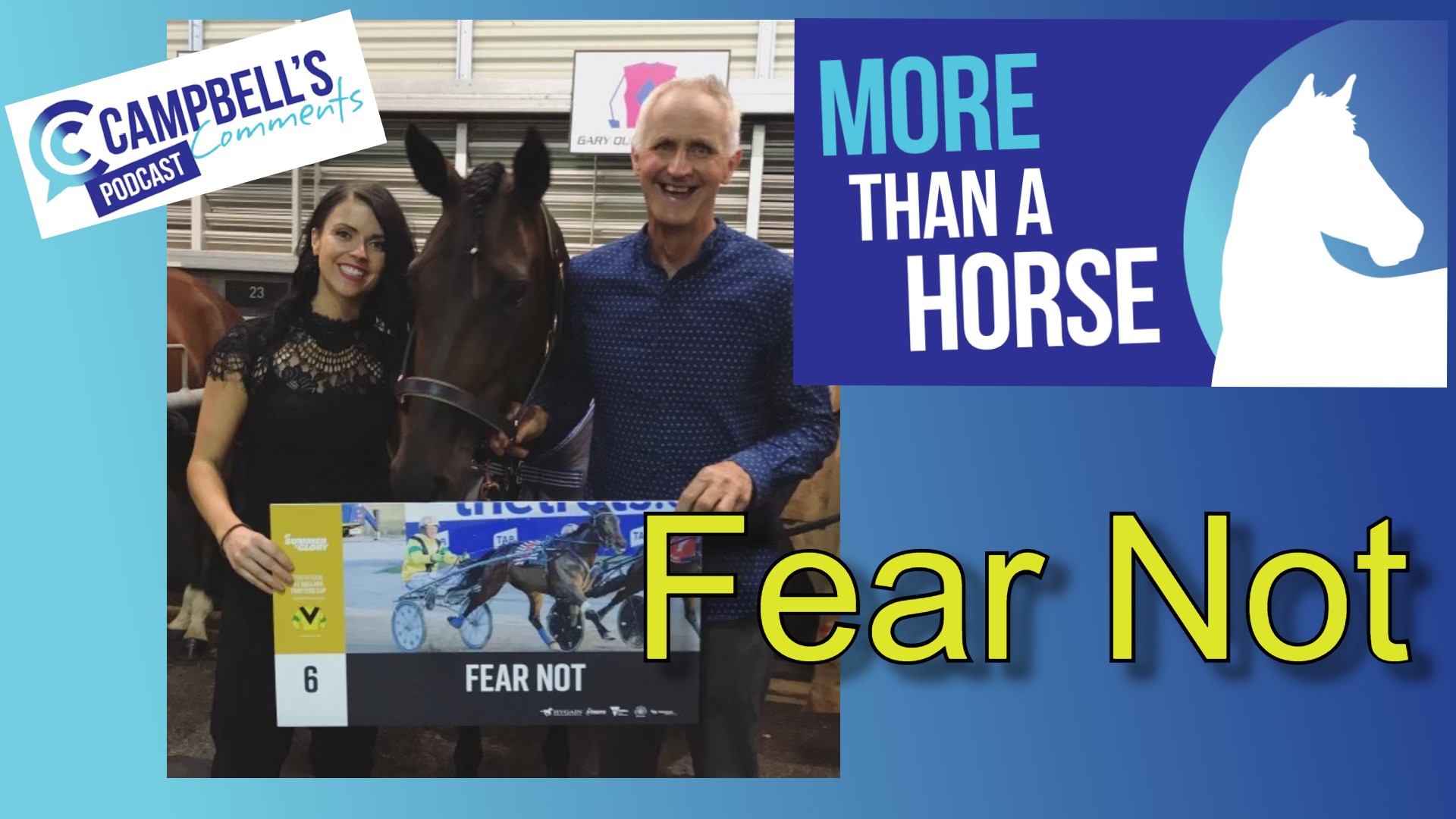 Read more about the article 81: More Than a Horse- Fear Not