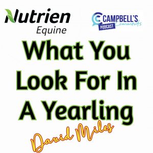 Read more about the article 94: What You Looking For In A Yearling Ep.1 David Miles