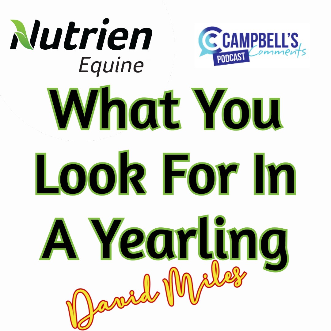 You are currently viewing 94: What You Looking For In A Yearling Ep.1 David Miles