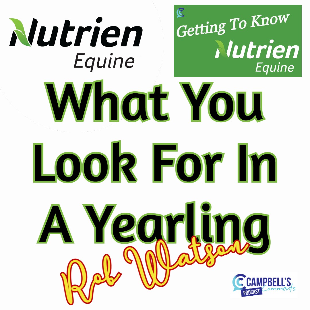 You are currently viewing 104: What You See In A Yearling Ep.3 Rob Watson