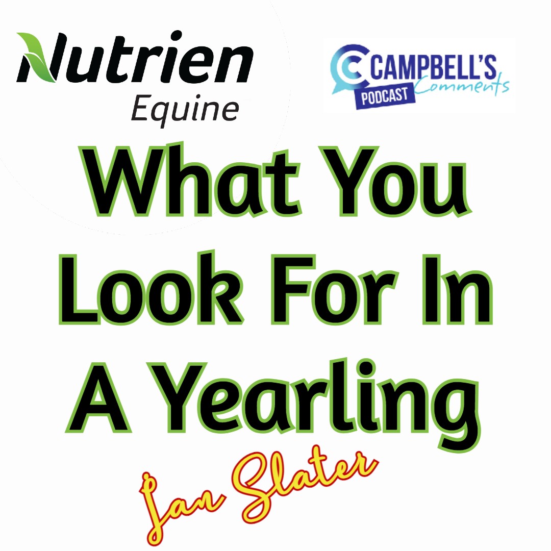 You are currently viewing 103: What You Look For in A Yearling Ep.2 Ian Slater