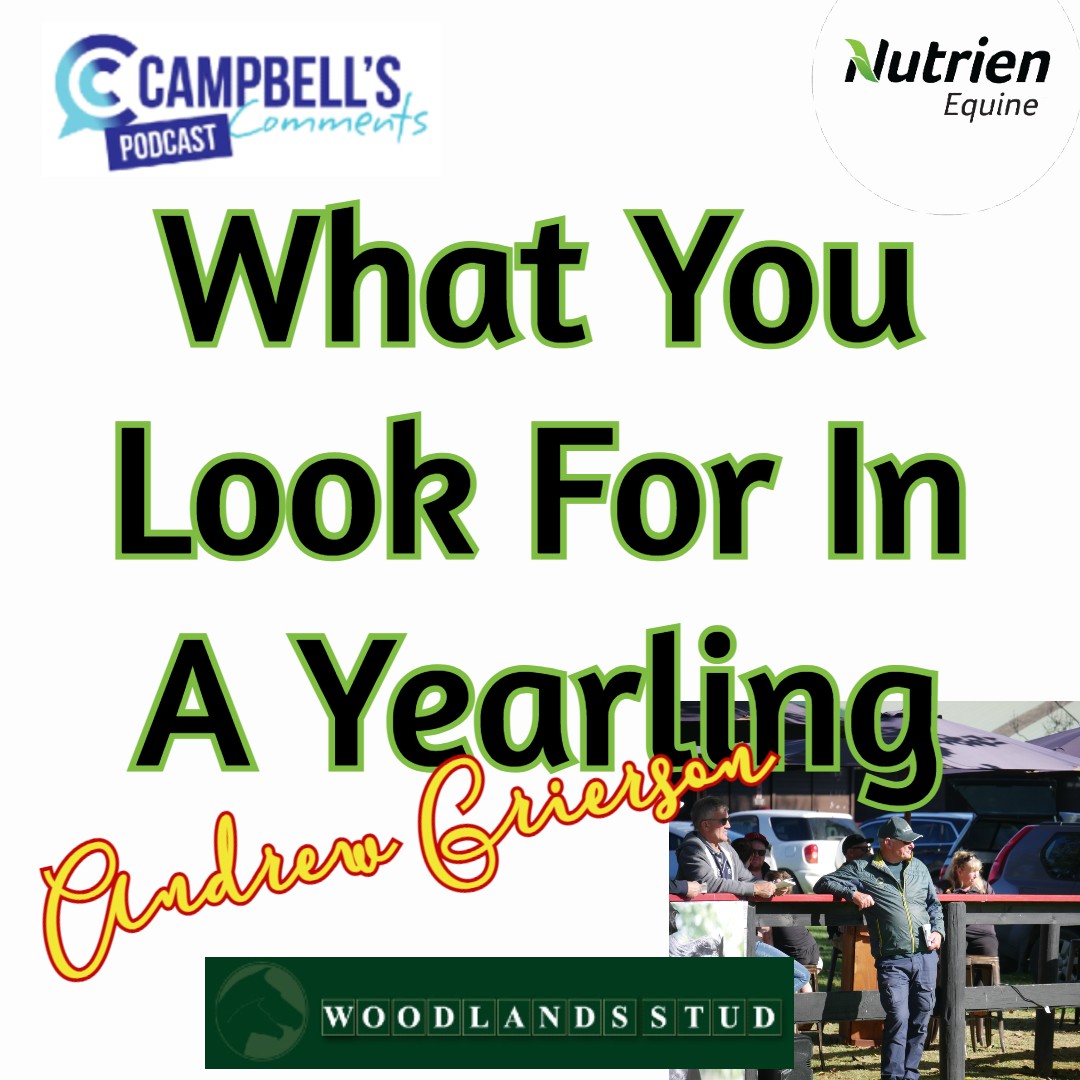 You are currently viewing 111: What You Look In A Yearling Ep.6 Andrew Grierson