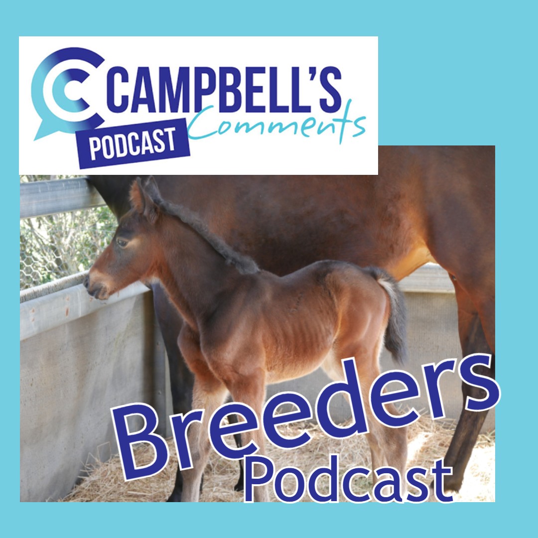 Read more about the article 118: Campbells Comments Breeders Podcast Ep.2