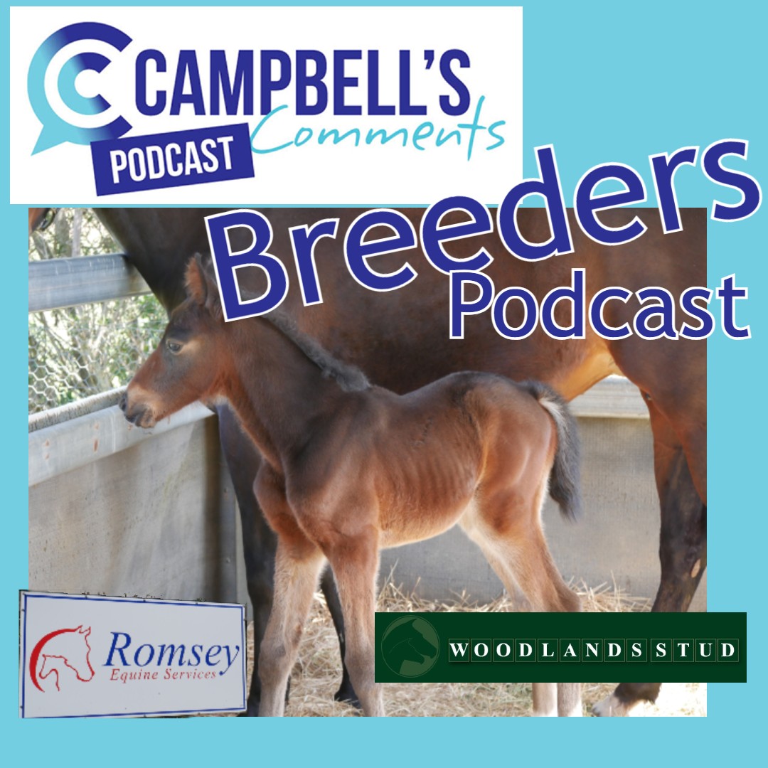 Read more about the article 124: Campbells Comments Breeders Podcast Ep.6