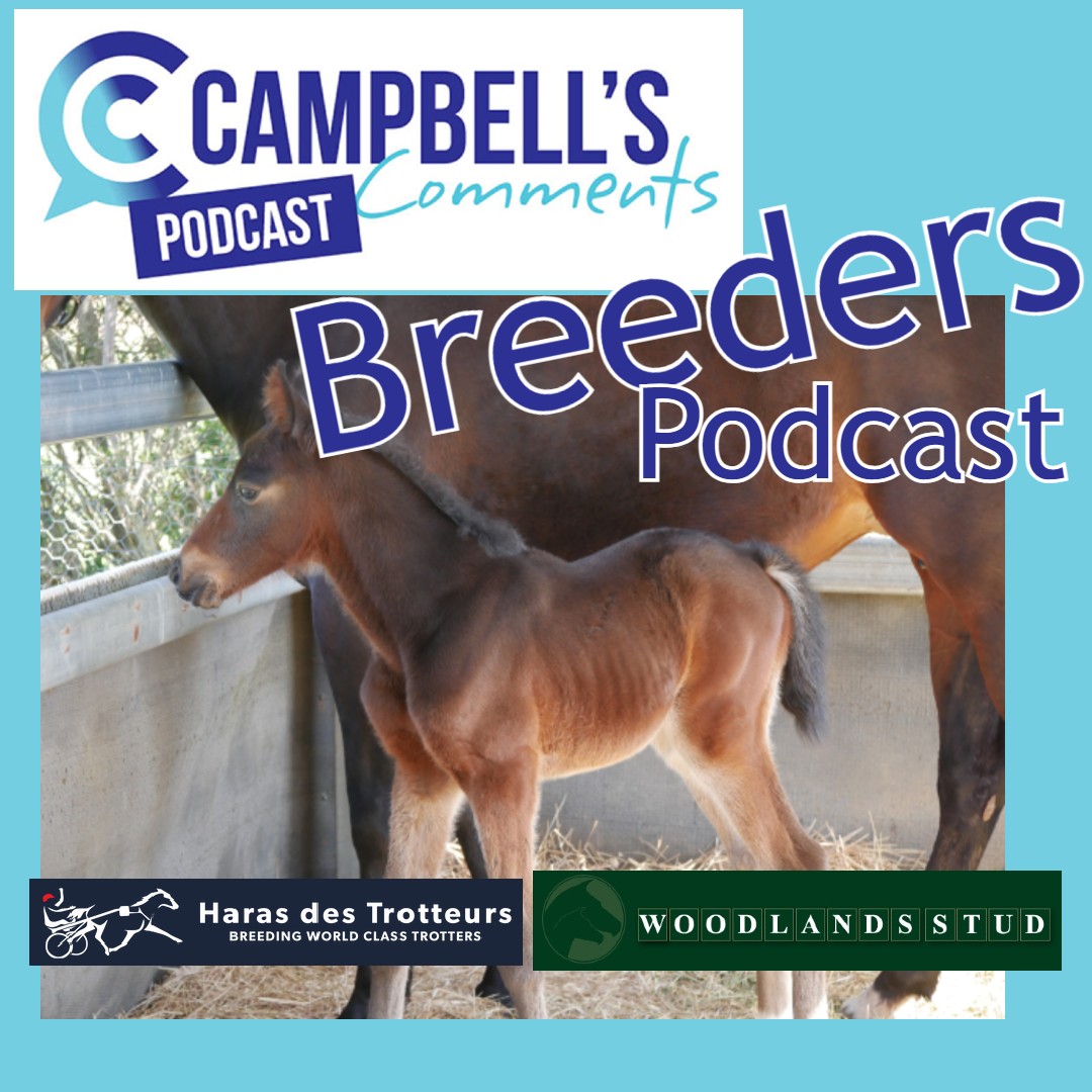 Read more about the article 128: Campbells Comments Breeders Podcast Ep.7