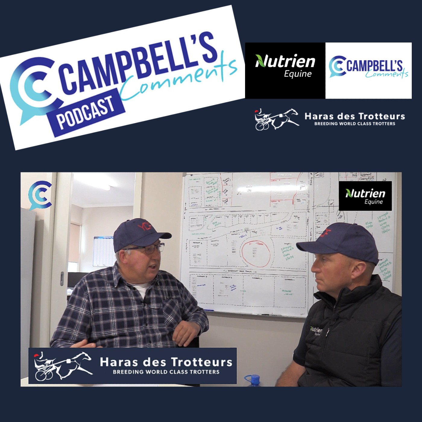 You are currently viewing 135: campbells Comments with Pat Driscoll from Haras Des Trotteurs