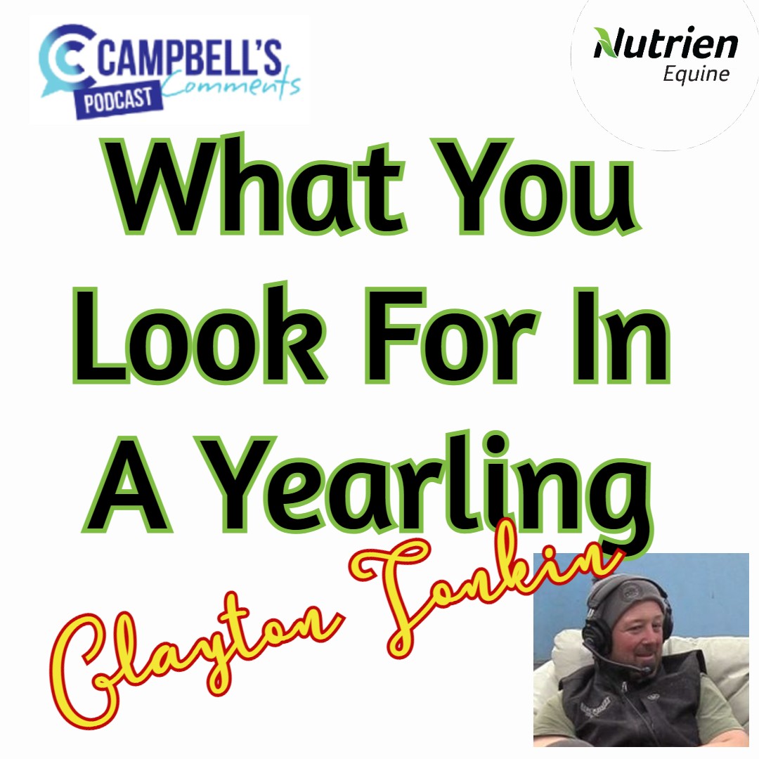 You are currently viewing 139: What You Look For In A Yearling S2 Ep.1 Clayton Tonkin