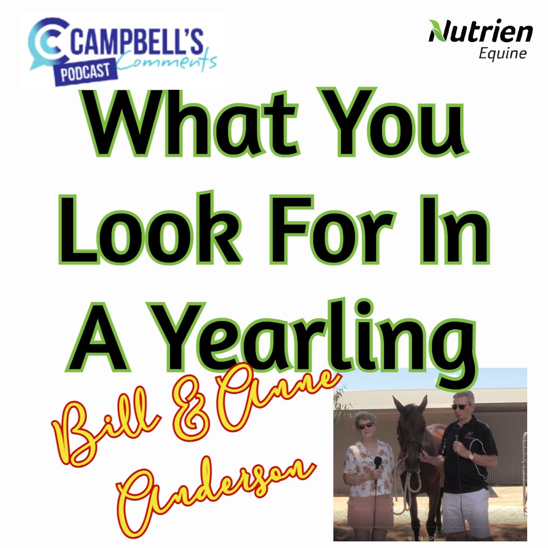 You are currently viewing 143: What You Look For In A Yearling S2 E3 Bill & Anne Anderson
