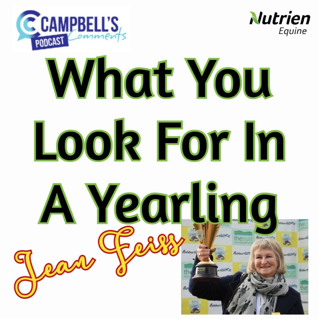 141-what-you-look-for-in-a-yearling-s2-ep-2-jean-feiss-campbells