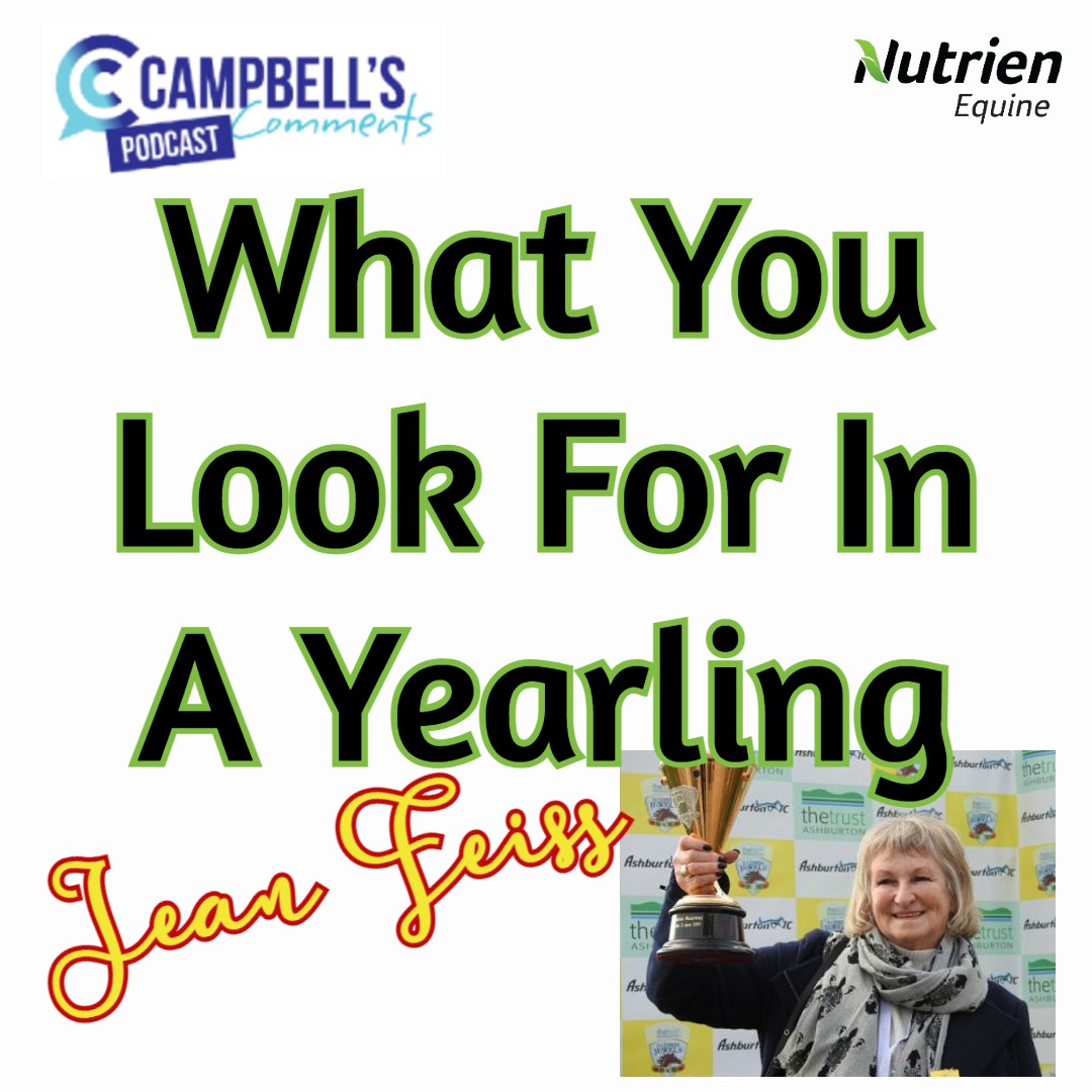 You are currently viewing 141: What You Look For In A Yearling S2 Ep.2 Jean Feiss