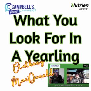 Read more about the article 147: What You look For In A Yearling . Anthony MacDonald