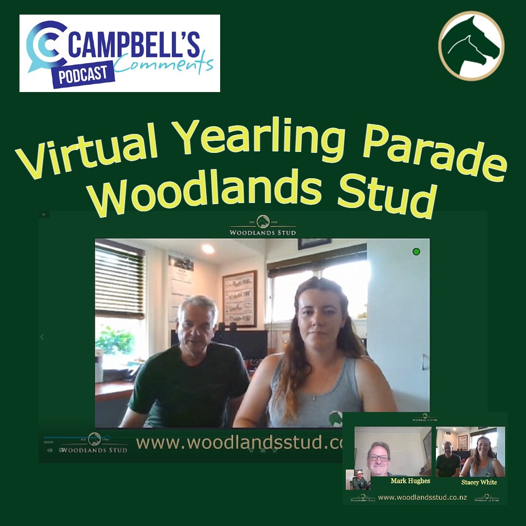 Read more about the article 146: Virtual Yearling Parade with Woodlands Stud NZ