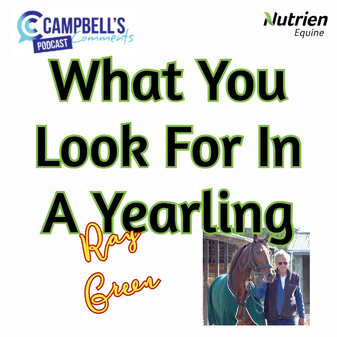 You are currently viewing 148: What You Look For In A Yearling with Ray Green