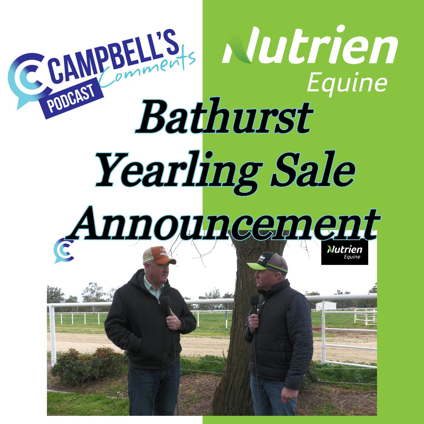Read more about the article 186: Bathurst Yearling Announcement with Mark Barton