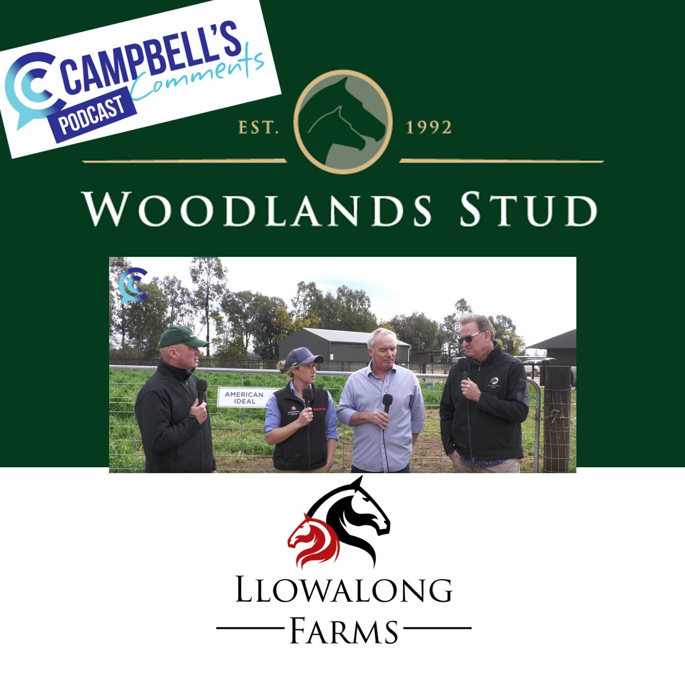 Read more about the article 196: Latest News from Llowalong Farms and Woodlands Stud