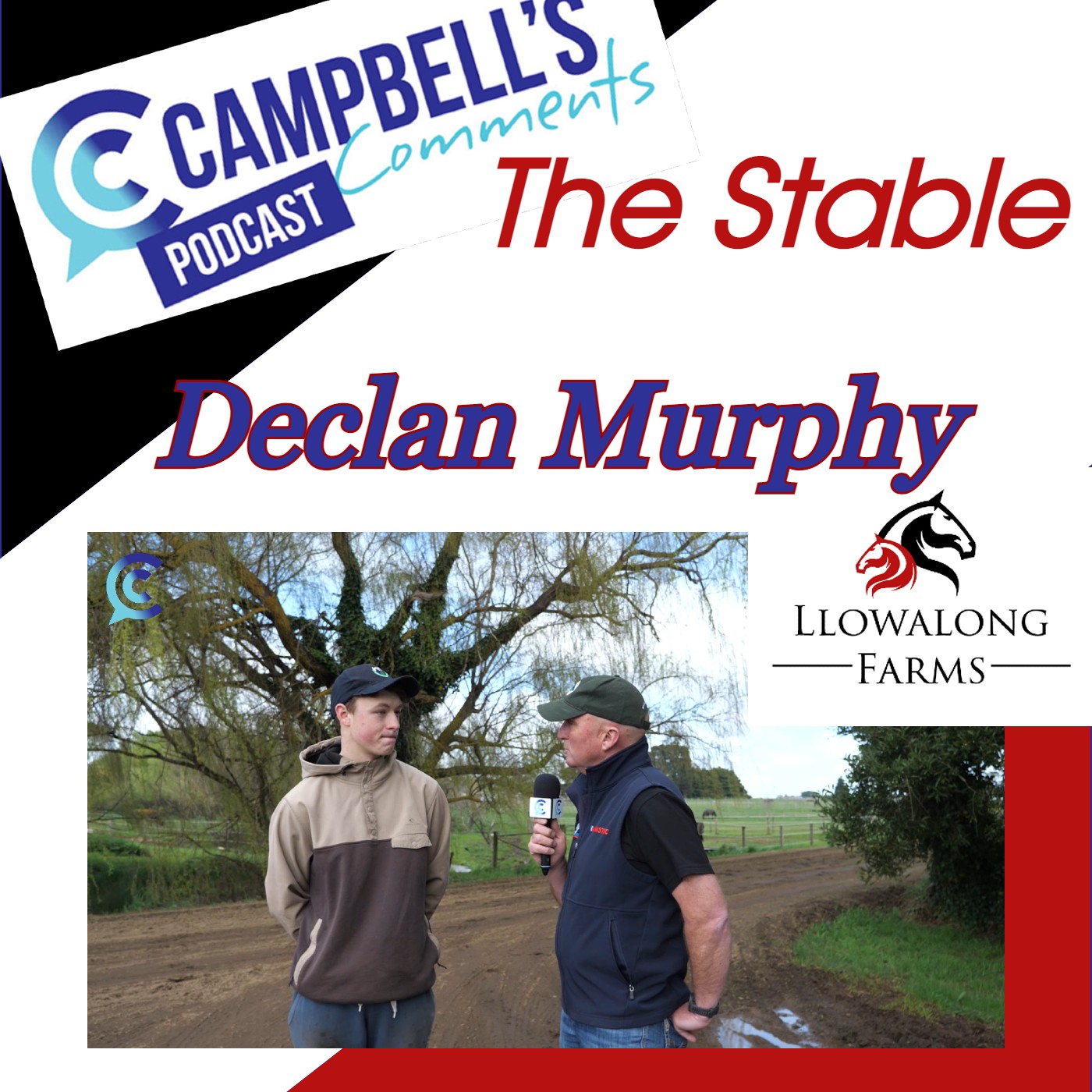 Read more about the article 206: Campbells Comments The Stable with Declan Murphy
