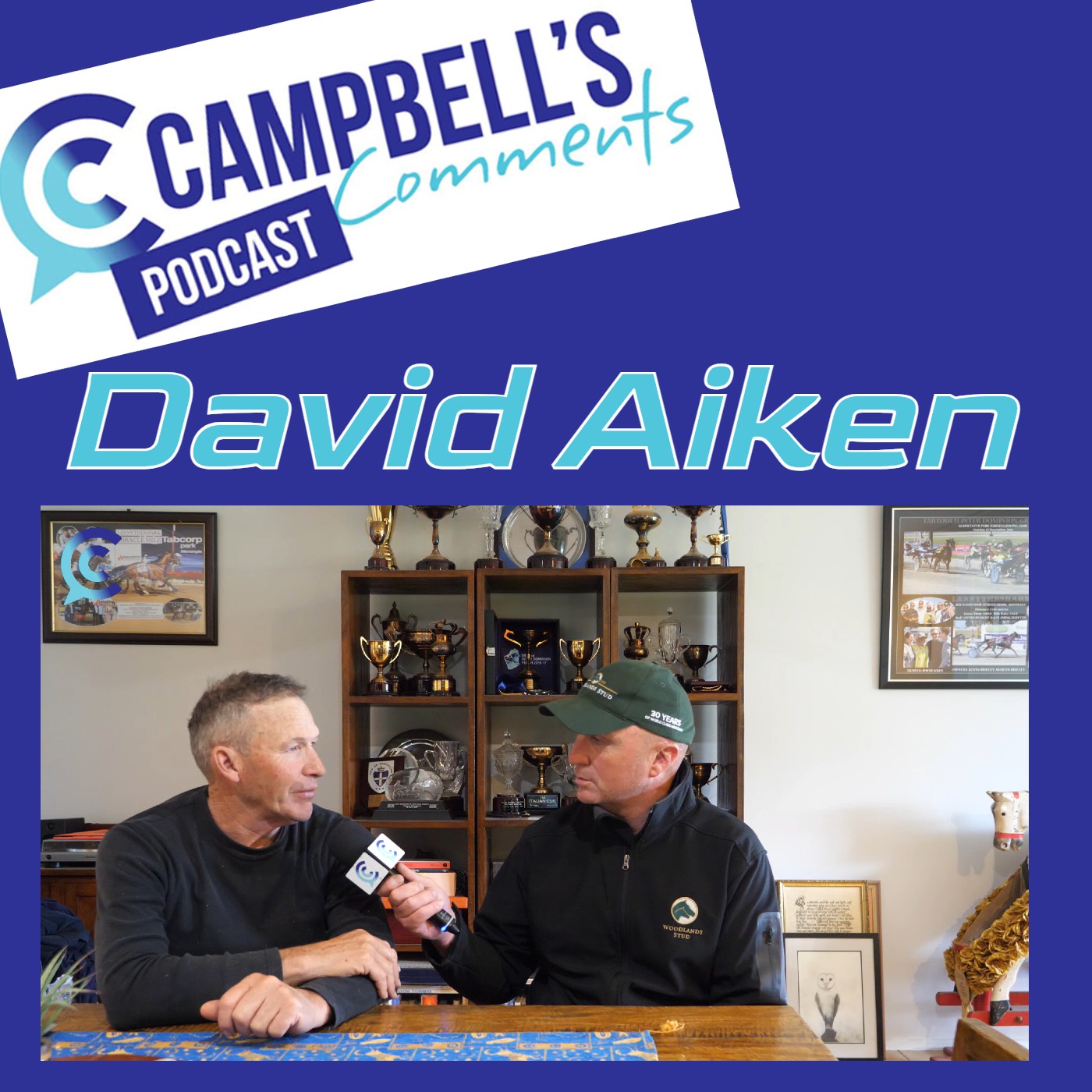 You are currently viewing 208: Campbells Comments with David Aiken