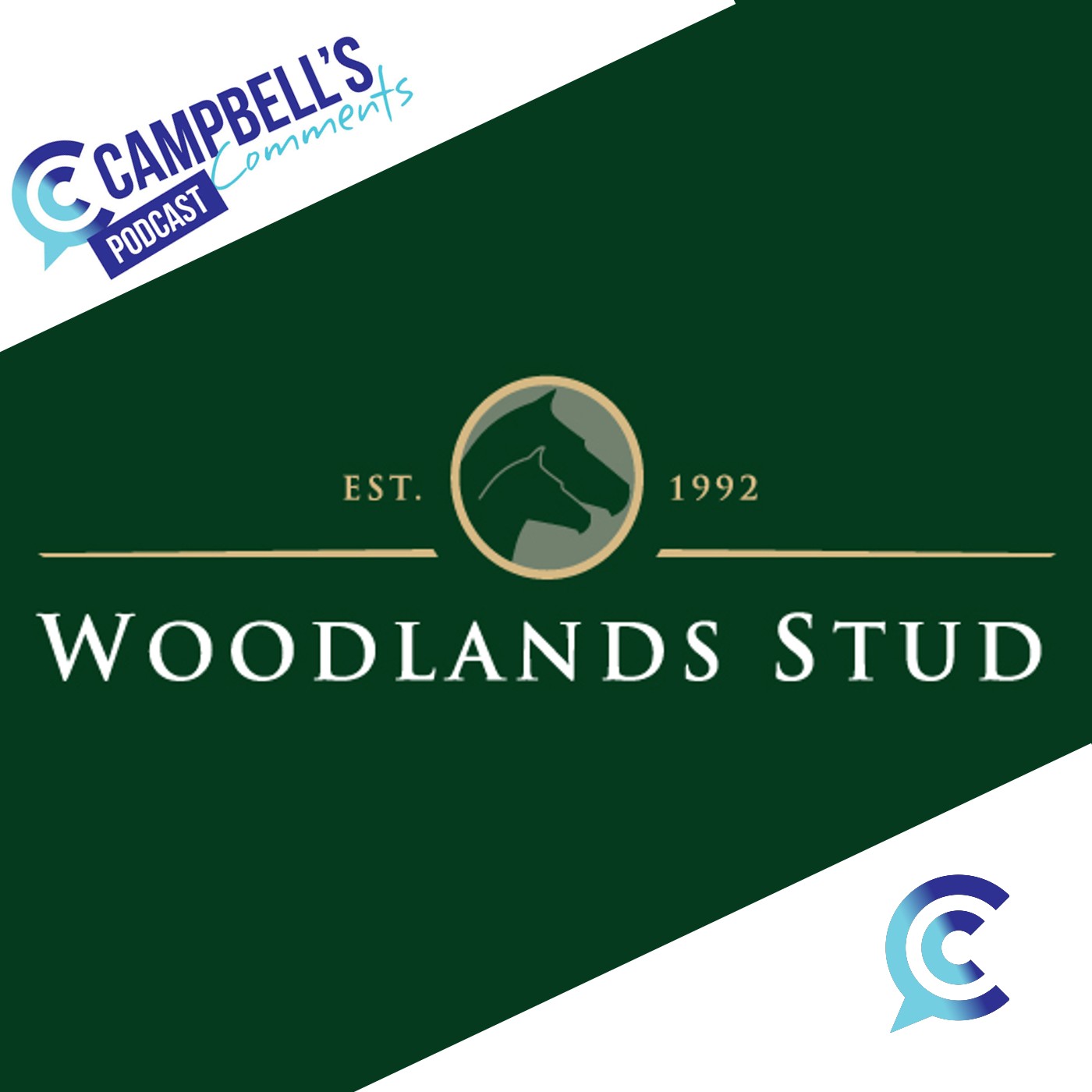 Read more about the article 233: Campbells Comments with Mark Hughes for Woodlands Stud
