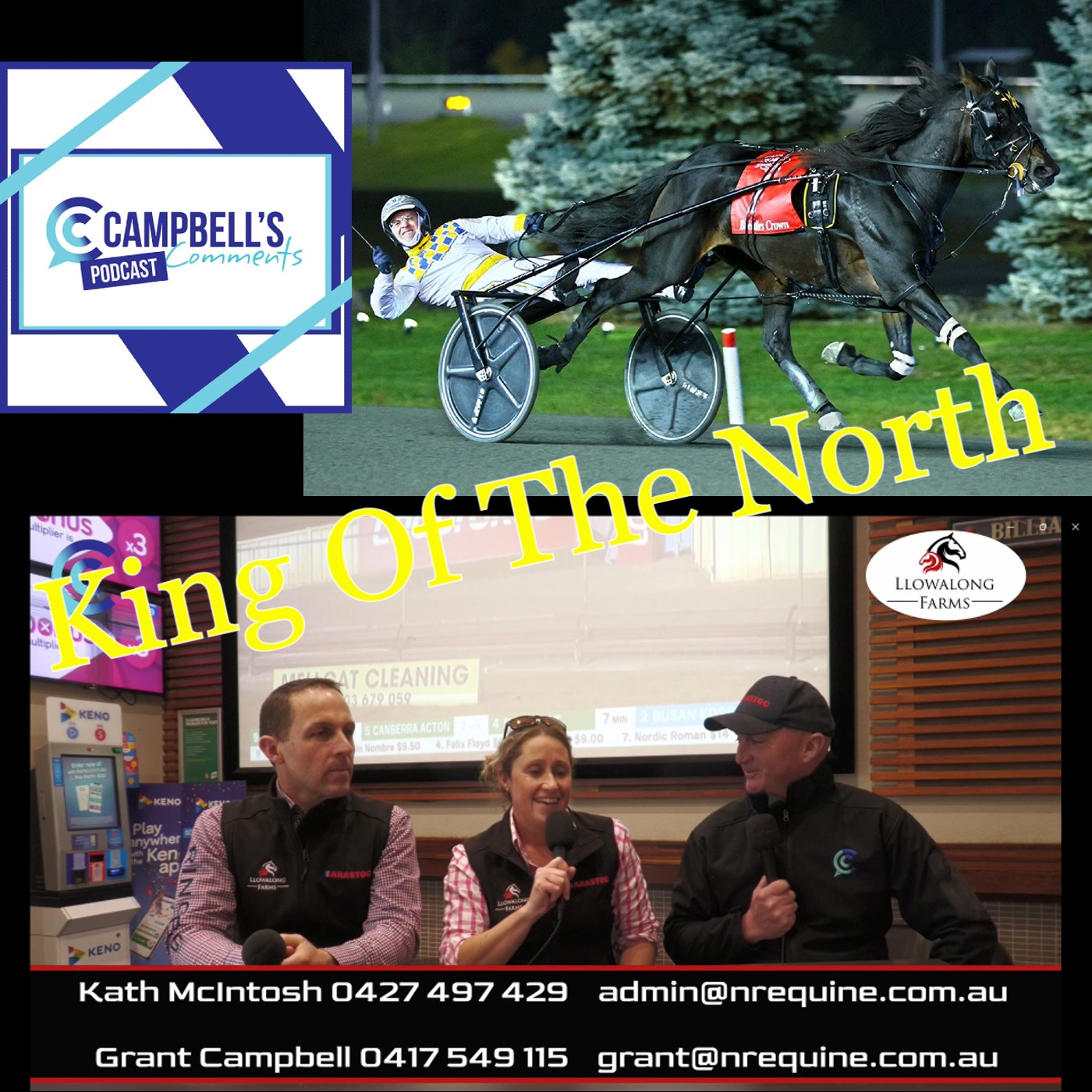 You are currently viewing 237: Campbells Comments Stallion announcement Llowalong Farms