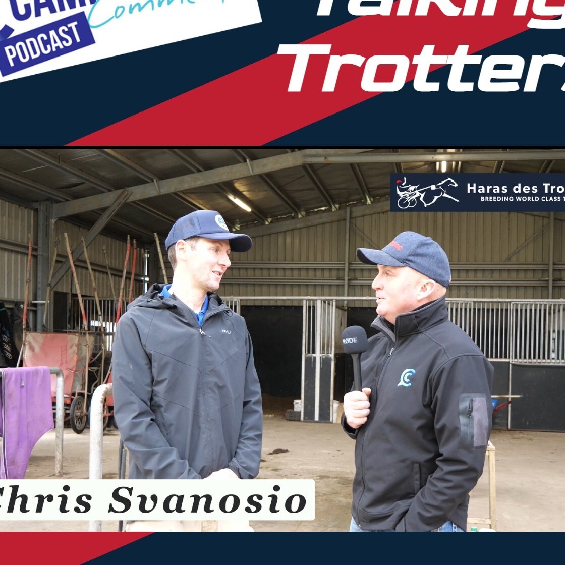 You are currently viewing 238: Campbells Comments Talking Trotters with Chris Svanosio