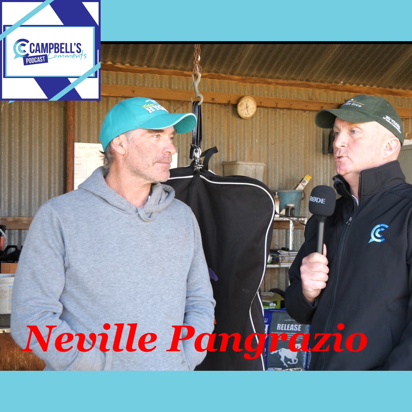 Read more about the article 263: Campbells Comments with Neville Pangrazio