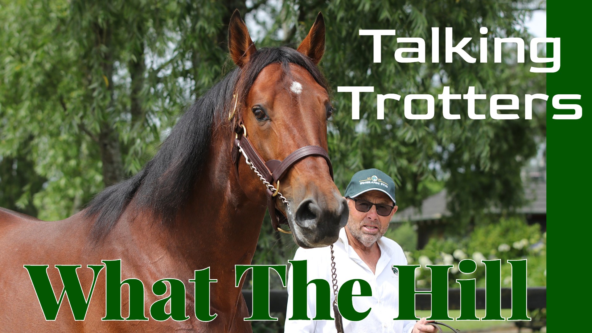 Read more about the article 264: Talking Trotters for What The Hill