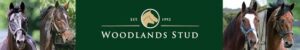 Woodlands Stud NZ